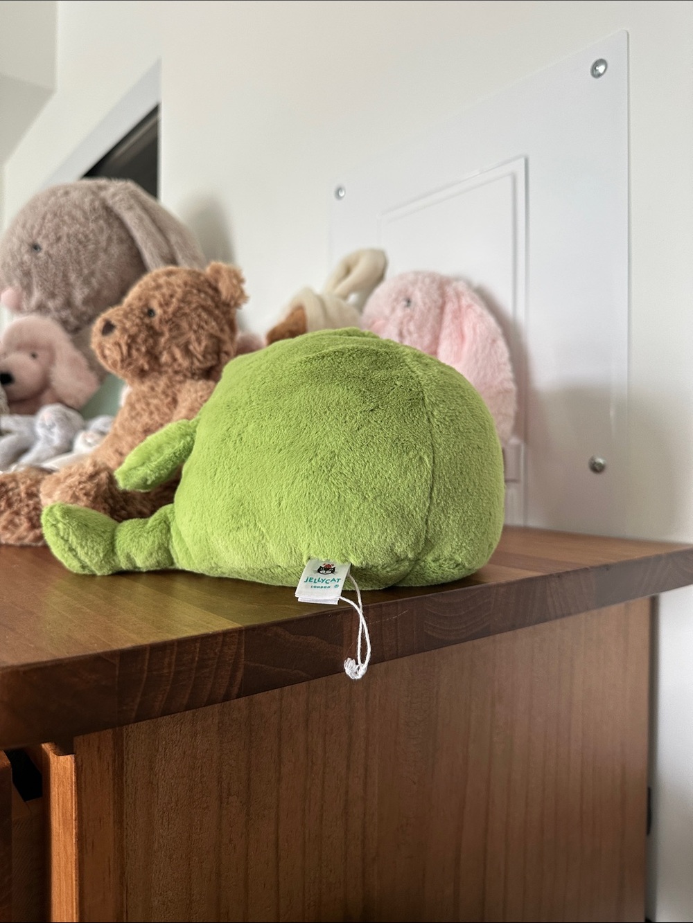 Jellycat Ricky Rain Frog - Picture 2 of 5